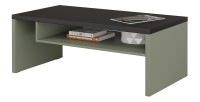 Ensemble de 4 meubles collection HAVANA coloris vert sauge. Meuble TV XL, vitrine, table basse, étagère