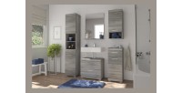 Miroir de salle de bain AVENSIO – Gris laqué avec miroir – Design moderne