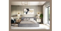 Lit coffre DENALI – Gris clair – 180x200 cm – Tissu velours doux – Sommier relevable – Rangement intégré 