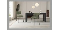Lot de 2 chaises NORAYA – Tissu vert – Design compact – Pieds métal – Élégance naturelle et moderne 