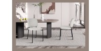 Lot de 2 chaises LYVORA – Tissu beige – Pieds métal – Confort épuré – Design compact et élégant 
