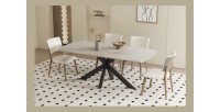 Table à manger ARVENA – 180x90 cm – Coloris pierre marbré beige – Plateau effet pierre – Design élégant et moderne 