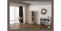 Meuble à chaussures MEXICO – 4 tiroirs et 1 porte avec miroir – Coloris chêne sonoma – Design pratique et contemporain