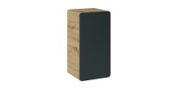 Meuble de rangement salle de bain suspendu ERBANO – 1 porte – Coloris chêne clair et gris anthracite 