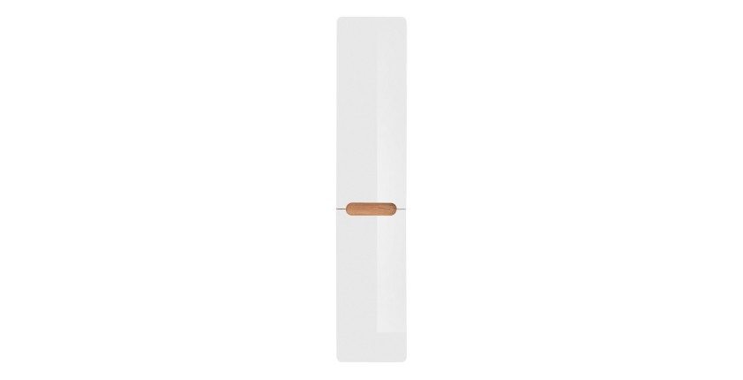 Colonne salle de bain ERBANO – Chêne clair et blanc brillant – H170 cm – 2 portes – À suspendre