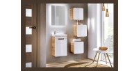 Meuble salle de bain ERBANO – Chêne clair et blanc brillant – 40x60 cm – 1 porte – À suspendre