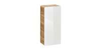 Meuble salle de bain ERBANO – Chêne clair et blanc brillant – 35x75 cm – 1 porte – À suspendre