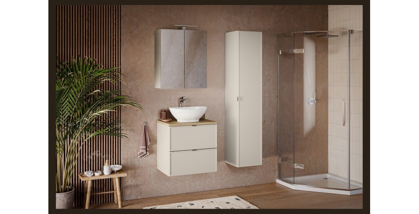 Meuble haut miroir BRAZZA – 2 portes – Coloris marron congo – L60 x H75 cm – À suspendre 