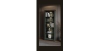 Bibliothèque ASSIA vert foncé et bois 71 cm - 5 niches ouvertes - Élégance sobre et design