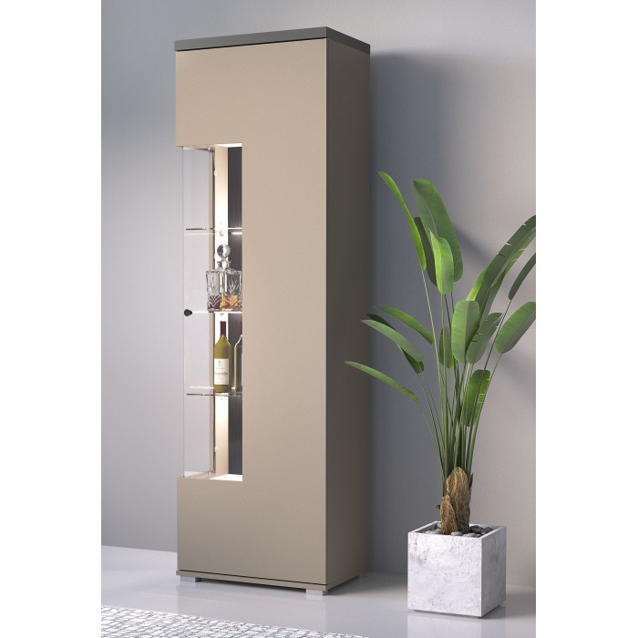 Vitrine 1 deur collectie NESS - Afwerking Congo & Antraciet - 10 opbergvakken - Zonder LED