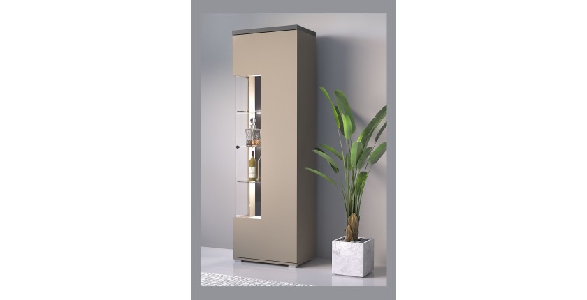 Vitrine 1 Tür NESS – Ausführung Congo &amp; Anthrazit – LED neutralweiß – 10 Designfächer