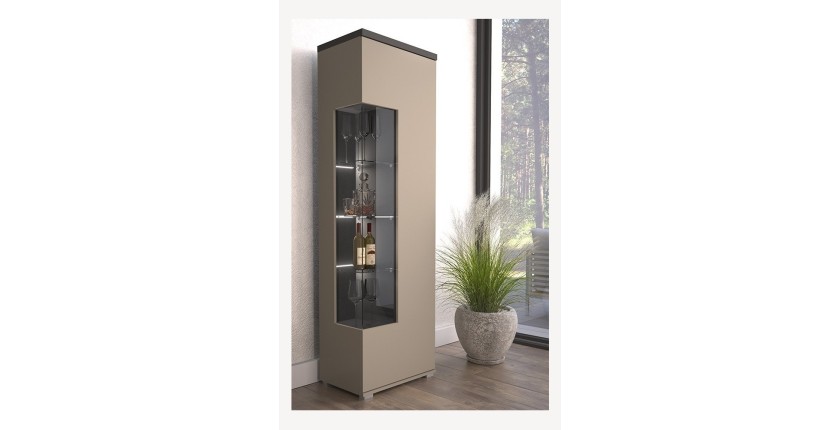 Vitrine 1 Tür NESS – Ausführung Congo &amp; Anthrazit – LED neutralweiß – 10 Designfächer