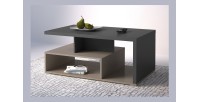 Table basse NESS – Plateau 100 x 60 cm – Finition Congo et anthracite – Design moderne