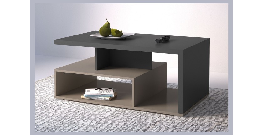 Table basse NESS – Plateau 100 x 60 cm – Finition Congo et anthracite – Design moderne
