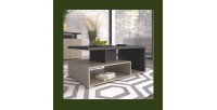 Table basse NESS – Plateau 100 x 60 cm – Finition Congo et anthracite – Design moderne