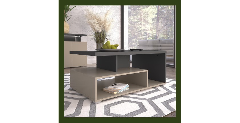 Table basse NESS – Plateau 100 x 60 cm – Finition Congo et anthracite – Design moderne