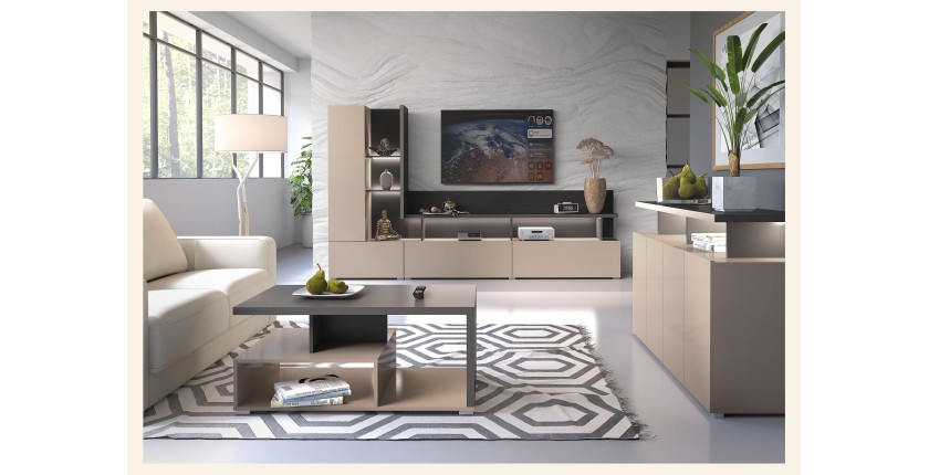 Table basse NESS – Plateau 100 x 60 cm – Finition Congo et anthracite – Design moderne