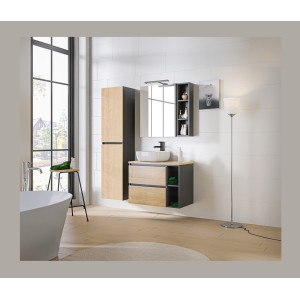 Accessoire pour meuble sous vasque TAMO – 20 cm – Coloris gris anthracite – À suspendre 