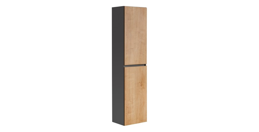 Colonne salle de bain TAMO – 170 cm – 2 portes – Coloris gris anthracite – À suspendre 