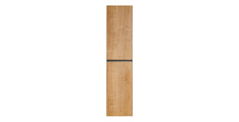 Colonne salle de bain TAMO – 170 cm – 2 portes – Coloris gris anthracite – À suspendre 