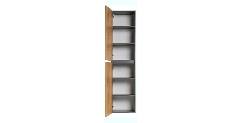 Colonne salle de bain TAMO – 170 cm – 2 portes – Coloris gris anthracite – À suspendre 