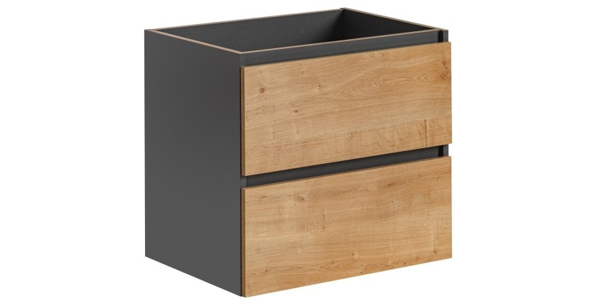 Meuble sous vasque TAMO – 2 tiroirs – Coloris gris anthracite – L60 × P57 × H46 cm – À suspendre 