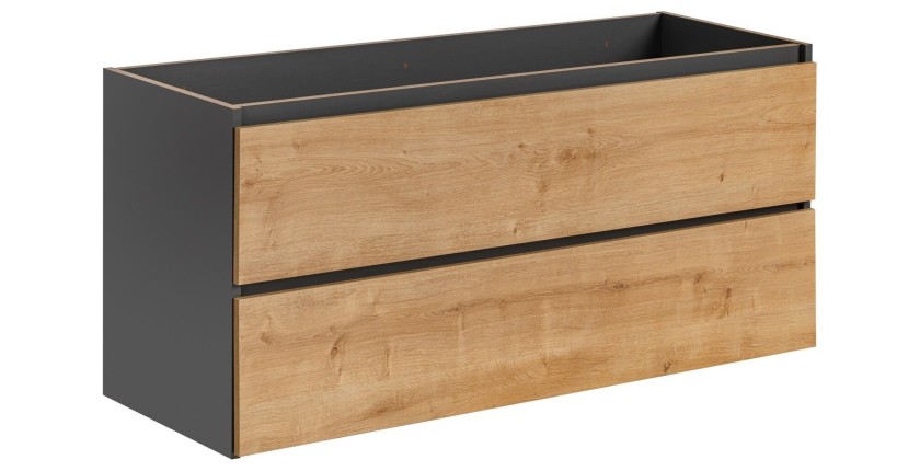 Meuble sous vasque TAMO – 2 tiroirs – Coloris gris anthracite – L120 × P57 × H46 cm – À suspendre 