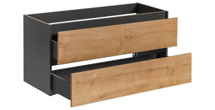 Meuble sous vasque TAMO – 2 tiroirs – Coloris gris anthracite – L120 × P57 × H46 cm – À suspendre 