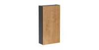 Colonne de rangement TAMO – 1 porte – Coloris gris anthracite – L40 × P16 × H75 cm – À suspendre 