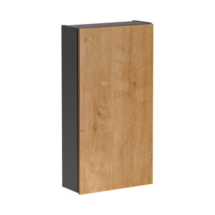 Colonne de rangement TAMO – 1 porte – Coloris gris anthracite – L40 × P16 × H75 cm – À suspendre 