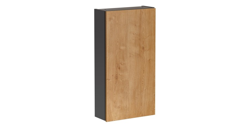 Colonne de rangement TAMO – 1 porte – Coloris gris anthracite – L40 × P16 × H75 cm – À suspendre 