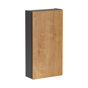Colonne de rangement TAMO – 1 porte – Coloris gris anthracite – L40 × P16 × H75 cm – À suspendre 