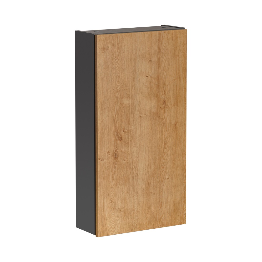 Colonne de rangement TAMO – 1 porte – Coloris gris anthracite – L40 × P16 × H75 cm – À suspendre 