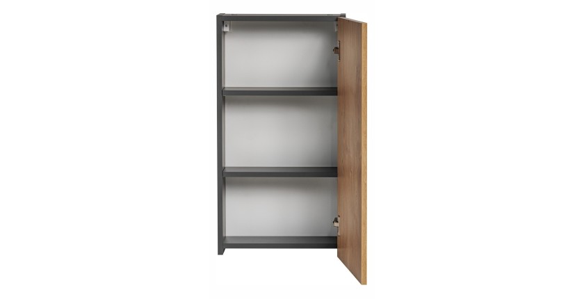 Colonne de rangement TAMO – 1 porte – Coloris gris anthracite – L40 × P16 × H75 cm – À suspendre 