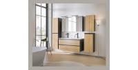 Colonne de rangement TAMO – 1 porte – Coloris gris anthracite – L40 × P16 × H75 cm – À suspendre 