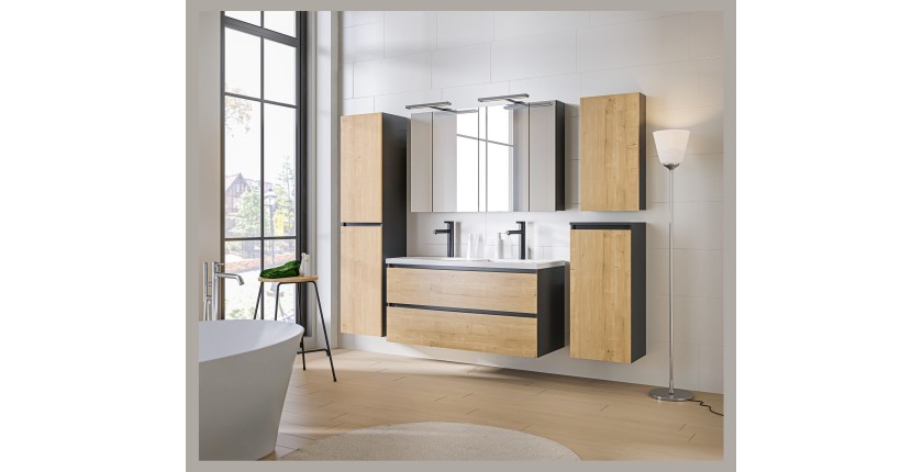 Colonne de rangement TAMO – 1 porte – Coloris gris anthracite – L40 × P16 × H75 cm – À suspendre 