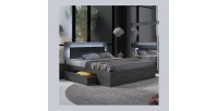 Lit VELTIS 180x200 cm avec tête de lit LED – Coloris frêne noir – Sommier et matelas non inclus