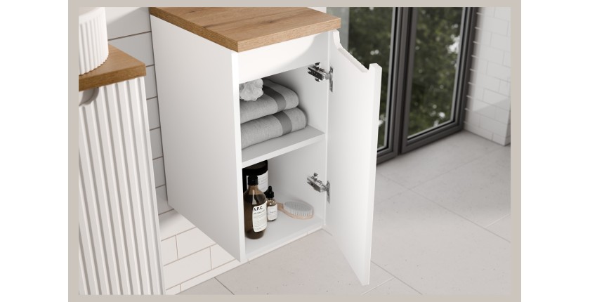 Meuble de rangement de salle de bain VANO – 1 porte – Blanc alpin – L30 × P18 × H57 cm – À suspendre 