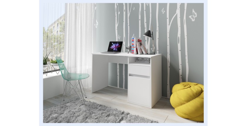 Bureau Bilou : Des rangements complets dans un format réduit