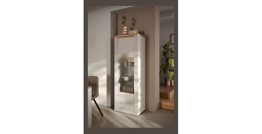 copy of Vitrine 1 Tür links BRAZZA – Öffnung rechts – 5 Fächer – Verglaste Front Nussbaum Satin