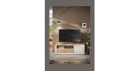 Mise en situation dans un décor 3D du meuble TV 1 porte 1 tiroir SASHA