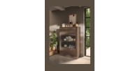 Vitrine SASHA mercure 2 portes en situation 3D