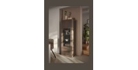 Vitrine SASHA mercure 1 porte dans décor 3D
