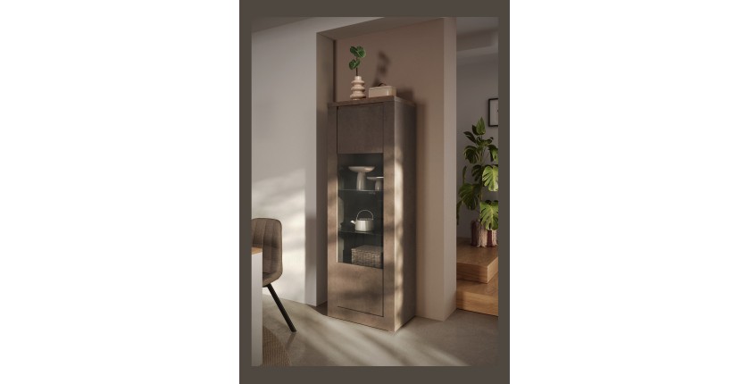 Vitrine SASHA mercure 1 porte dans décor 3D