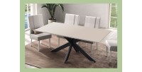 Mesa de comedor GWEN – 180 x 90 cm – Color cachemira y metal