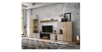 Meuble TV ERINA avec cheminée bio-éthanol intégrée dans un décor 3D