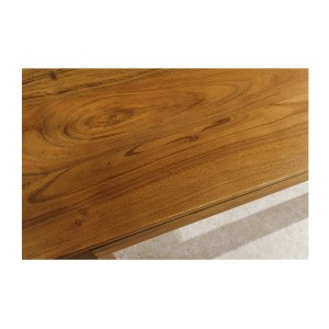 Zoom sur le plateau de la table MELBO