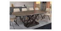 Table ATONIA bronze avec extensions