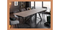 Table LIXOR grise avec extensions vu de côté
