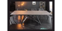 Table LIXOR grise avec extensions vu de face